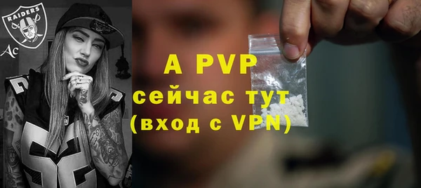 ECSTASY Белокуриха