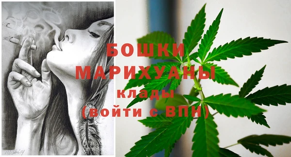 ECSTASY Белокуриха