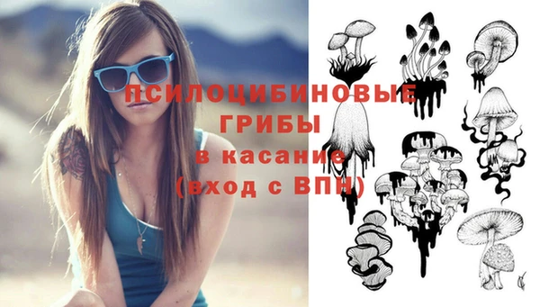 ECSTASY Белокуриха