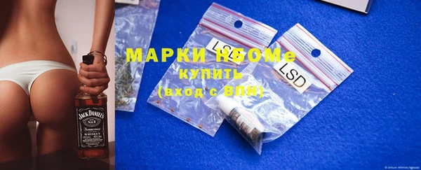 ECSTASY Белокуриха