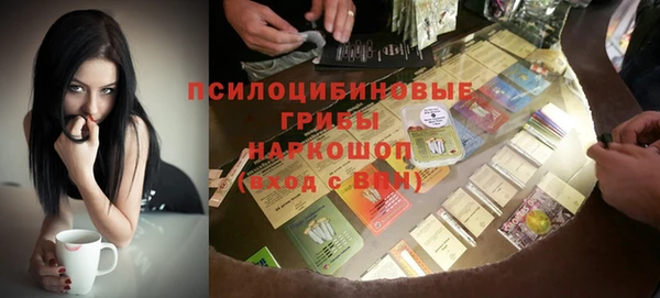 ECSTASY Белокуриха