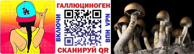 Псилоцибиновые грибы Cubensis  наркота  Кыштым 